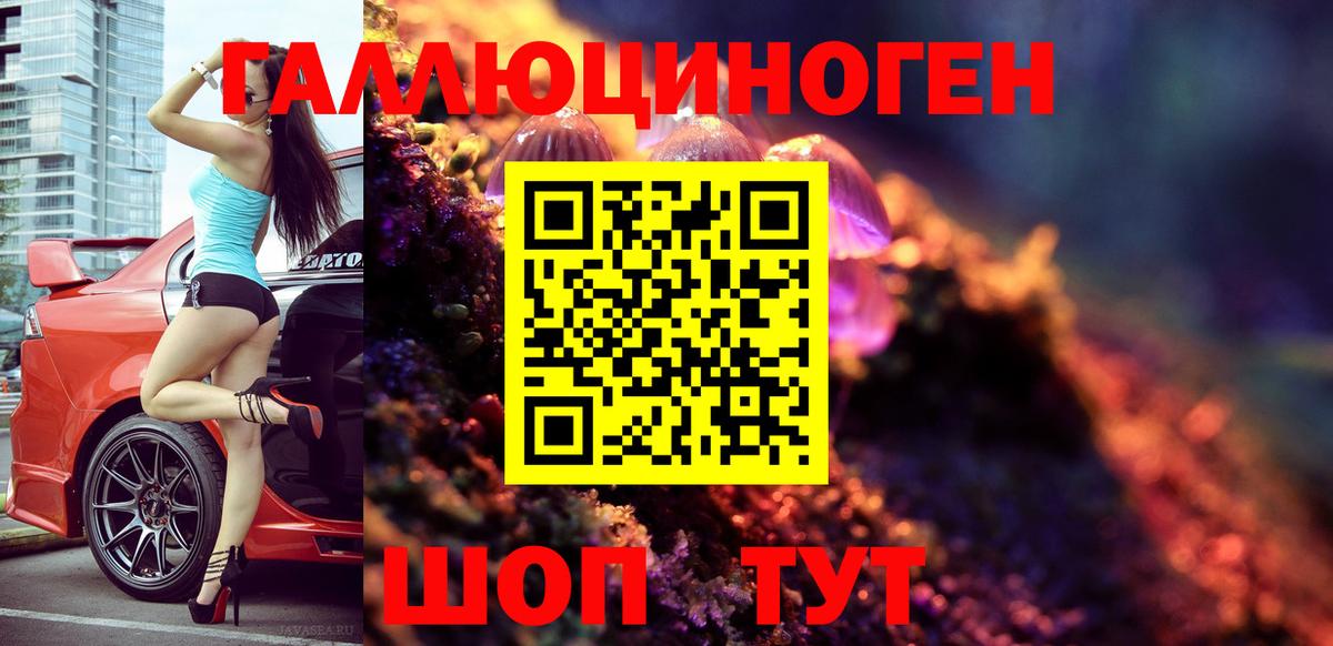 Псилоцибиновые грибы Cubensis Назарово